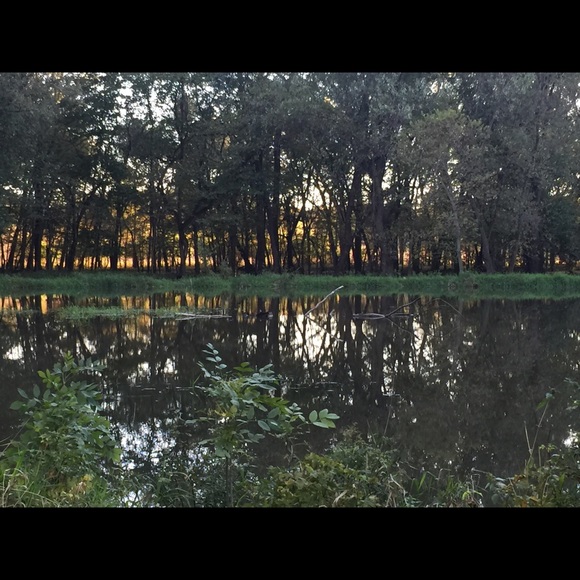 Meet your Posher, Kathleen - Picture 6 of 11